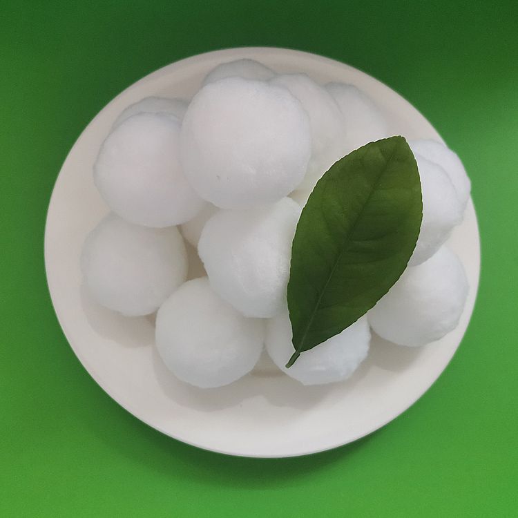 �����w�S��